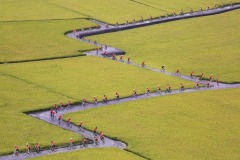 FIP HM Ribbon-LING JYI CHAO-Cycling team-Taiwan, Province of China